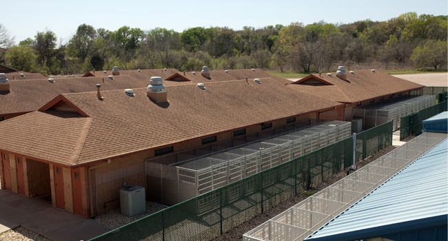 Austin Tx Dog Boarding Kennel Austin Tx Dog Boarding Kennel